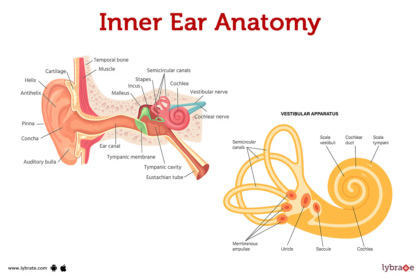 Inner Ear Causes of Vertigo