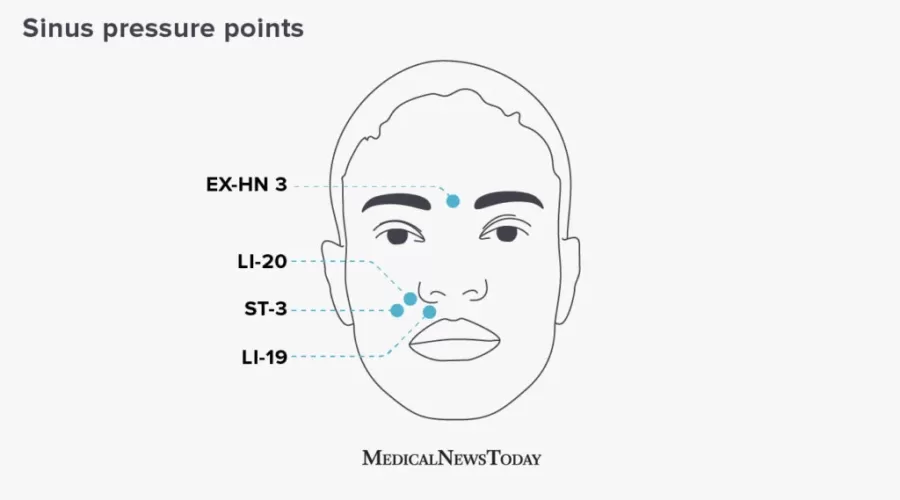 Pressure Points for Sinus Relief